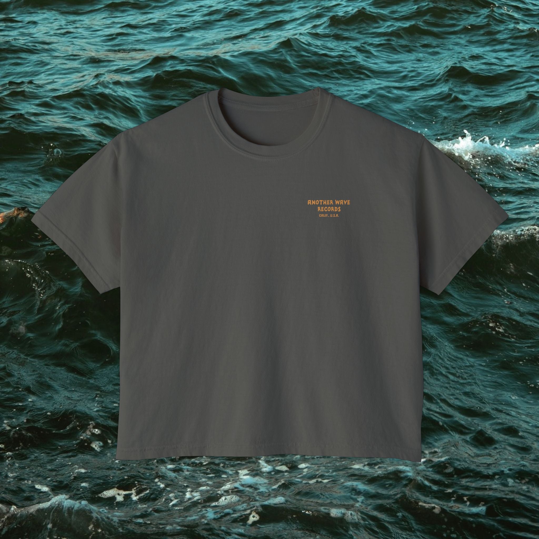 Another Wave Records - Vulture Tee (Women's)