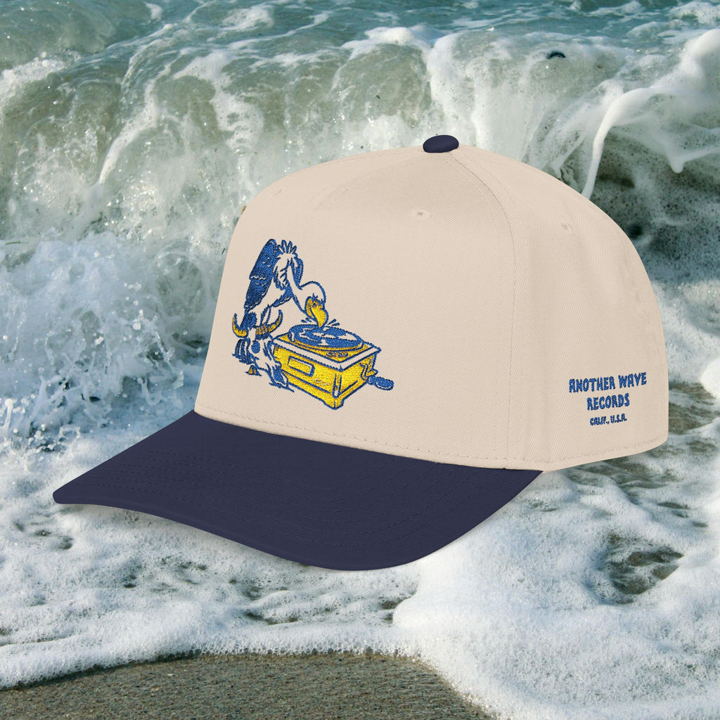 Another Wave Records – Vulture Embroidered Baseball Cap