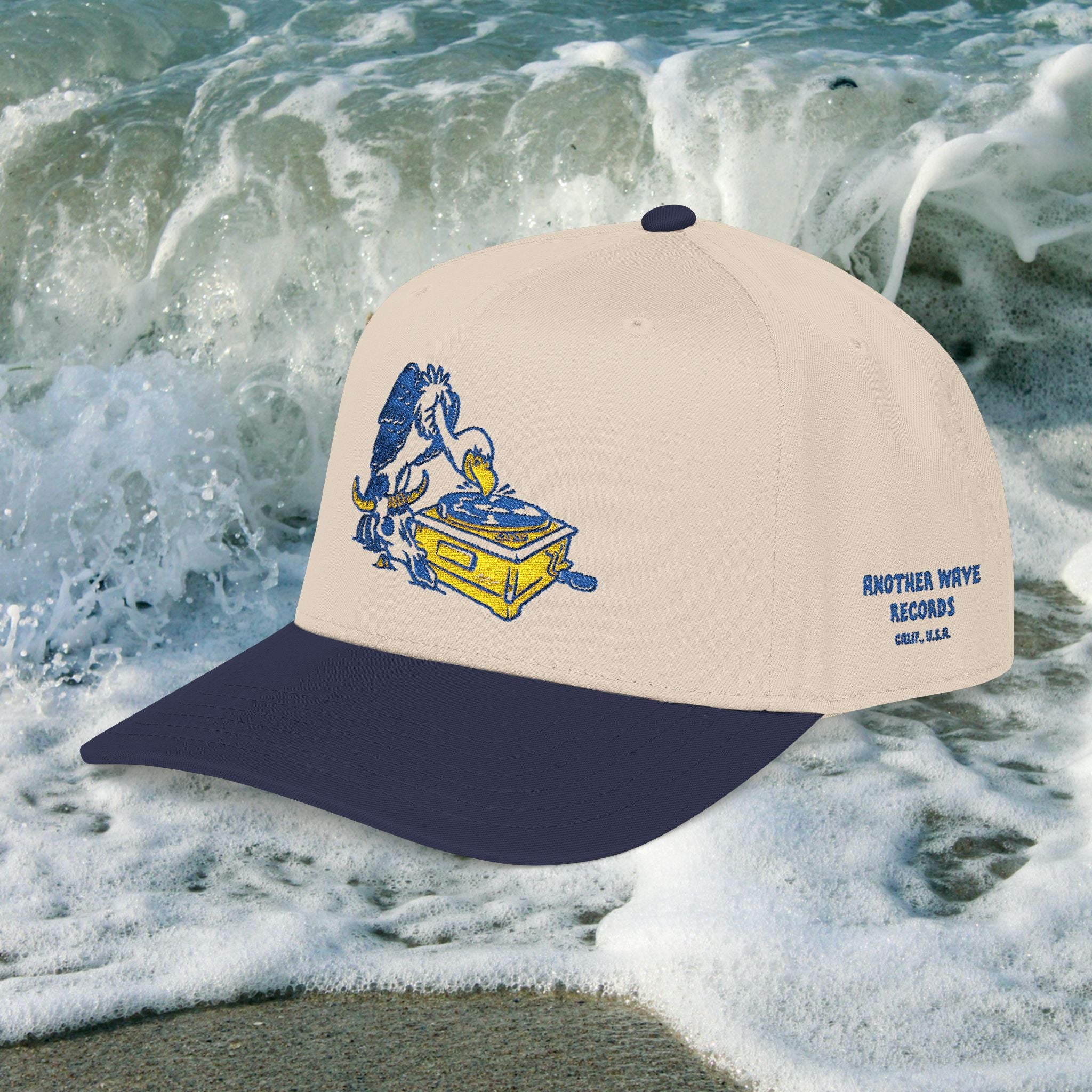 Another Wave Records – Vulture Embroidered Baseball Cap