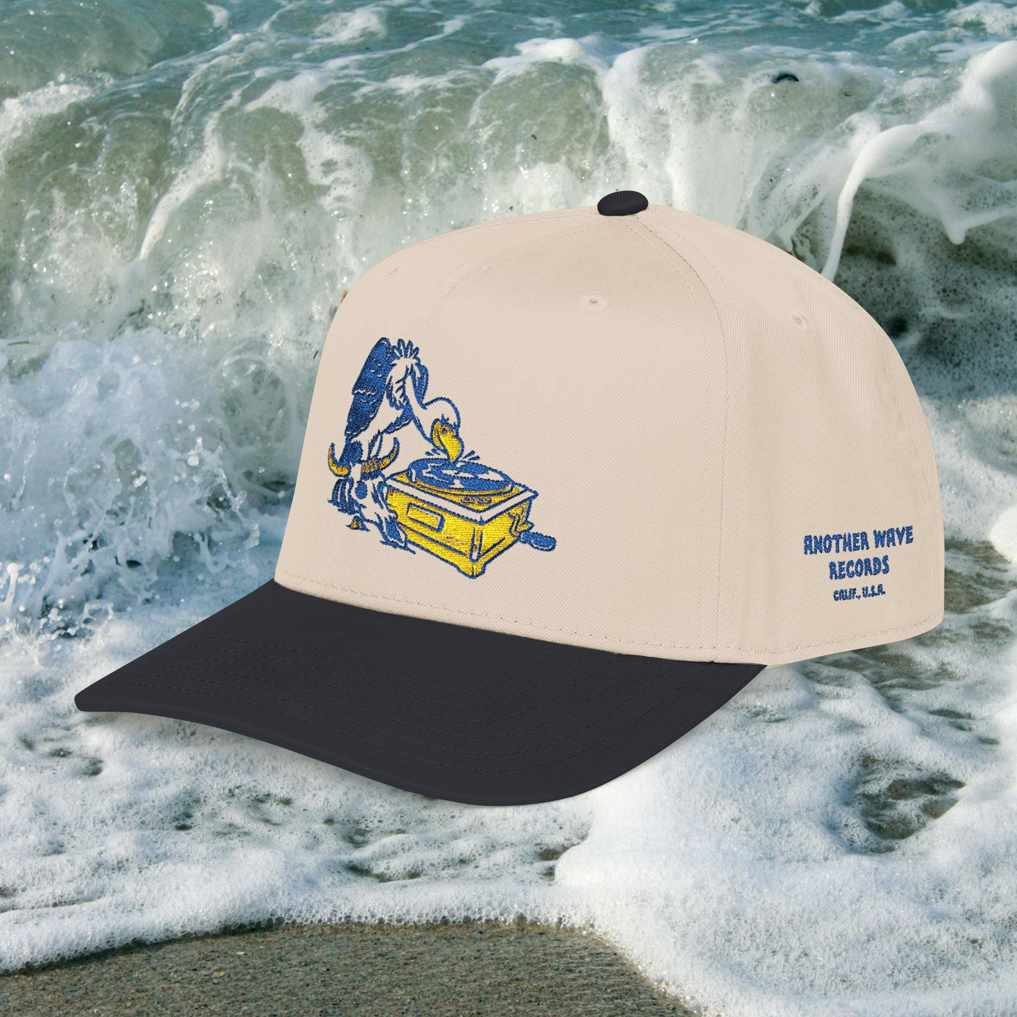 Another Wave Records – Vulture Embroidered Baseball Cap