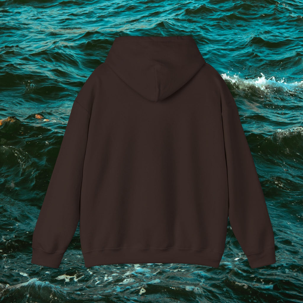 Surfeye Low Tide Hoodie