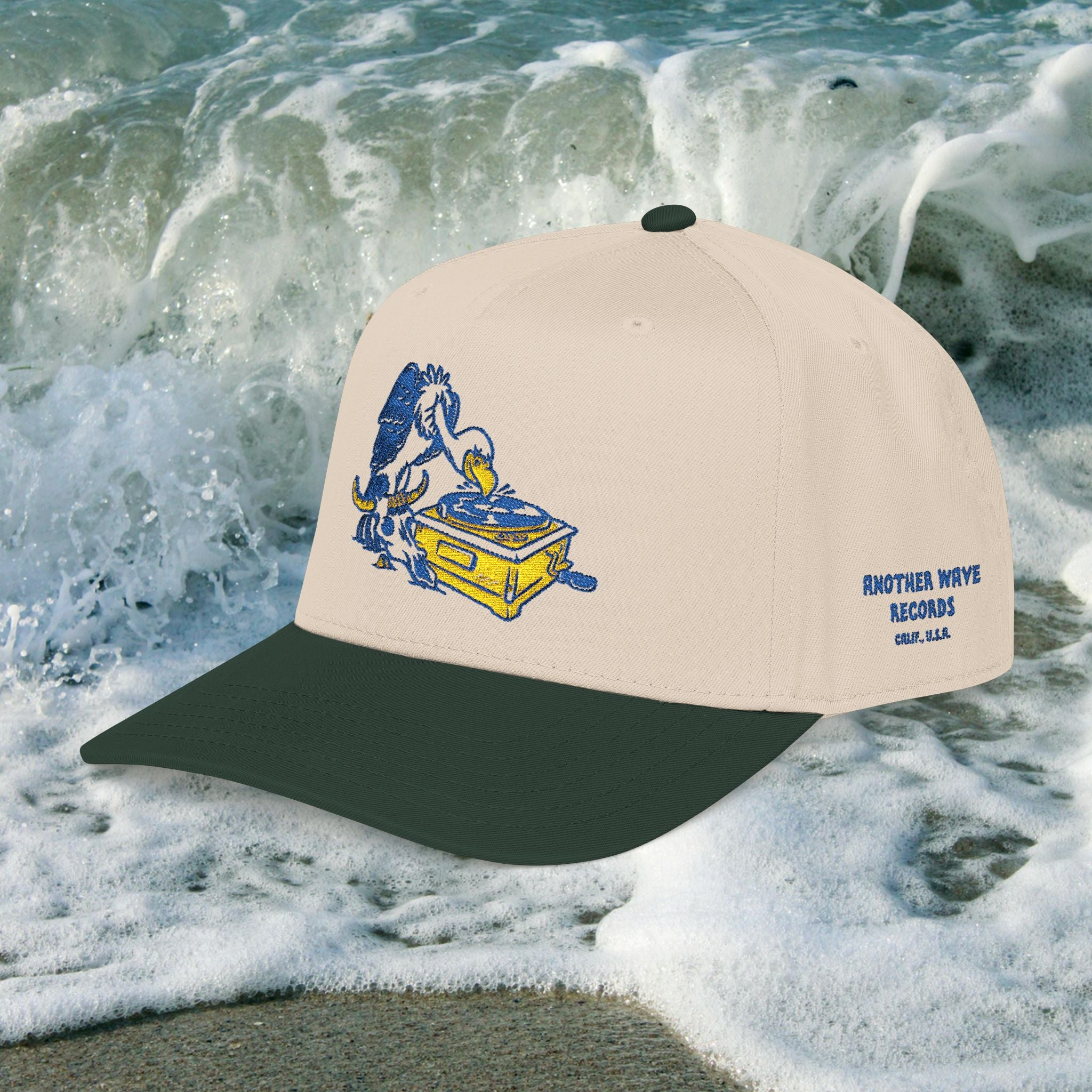 Another Wave Records – Vulture Embroidered Baseball Cap