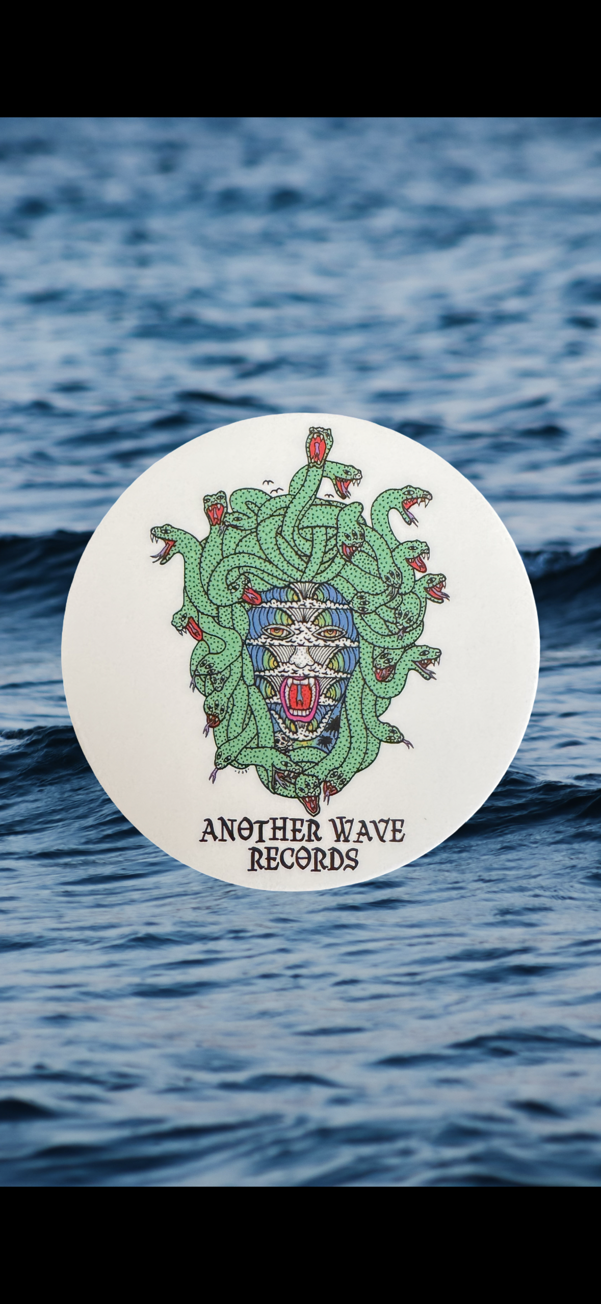 Medusa Decal